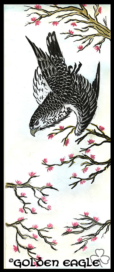 Acquerelli - Golden eagle